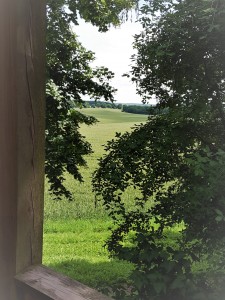 Foto vom Balkon Stellshagen
